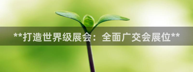 果博公司客服微信：**打造世界级展会：全面广交会展位**
