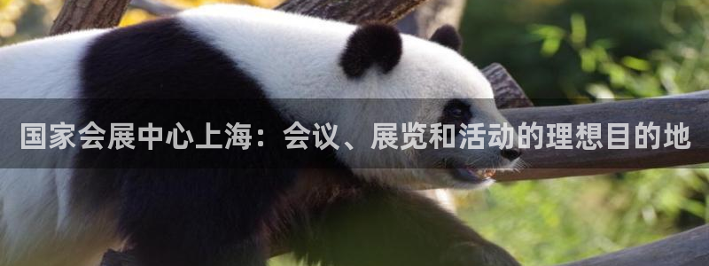 果博公司联系方式：国家会展中心上海：会议、展览和活动的理想目的地