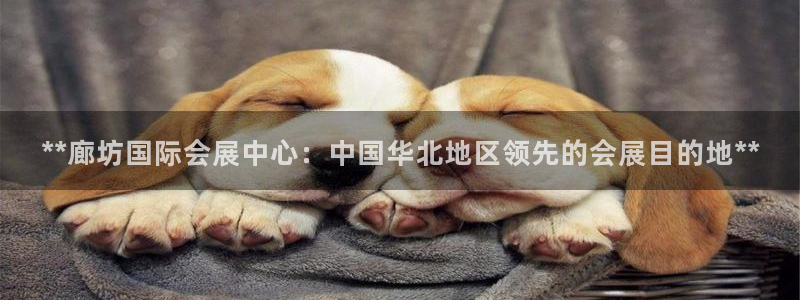 果博官方热线：**廊坊国际会展中心：中国