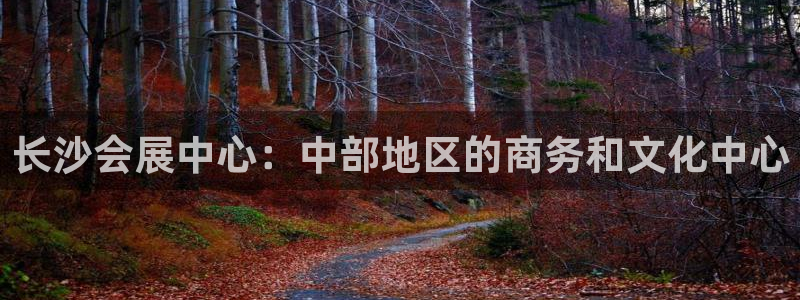 果博代理电话多少号码：长沙会展中心：中部地区的商务和文化中心