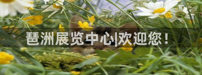 果博注册平台：琶洲展览中心|欢迎您！