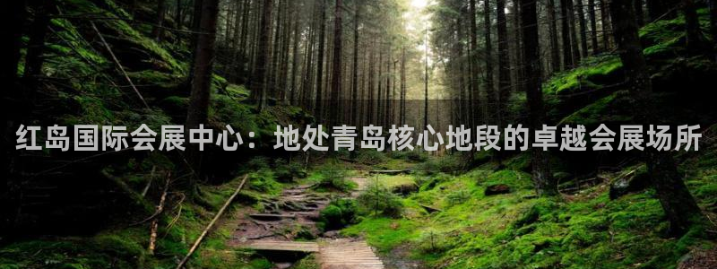 果博是怎么登录的：红岛国际会展中心：地处青岛核心地段的卓越会展场所