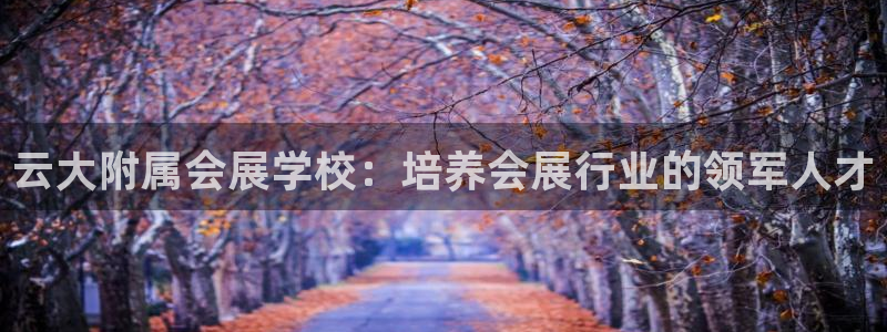 果博手机版官方下载：云大附属会展学校：培养会展行业的领军人才