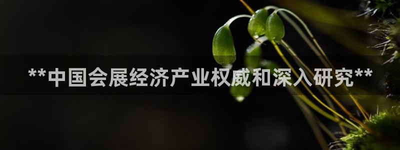 果博官网客服电话号码查询：**中国会展经济产业权威和深入研究**