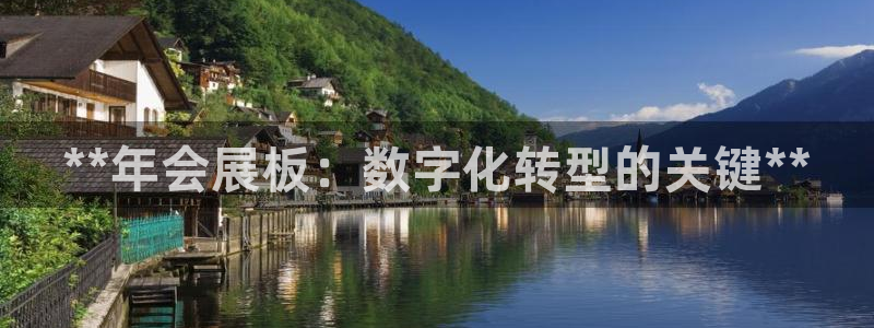 果博手机版下载：**年会展板：数字化转型