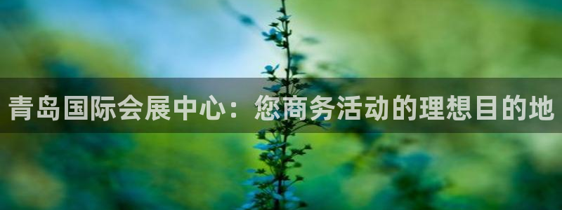 果博手机版下载：青岛国际会展中心：您商务活动的理想目的地