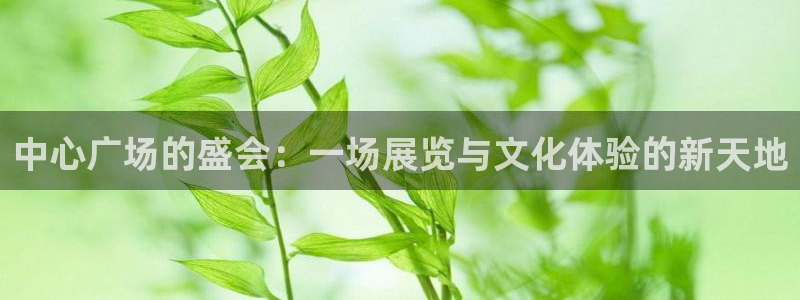 果博注册账号链接：中心广场的盛会：一场展览与文化体验的新天地