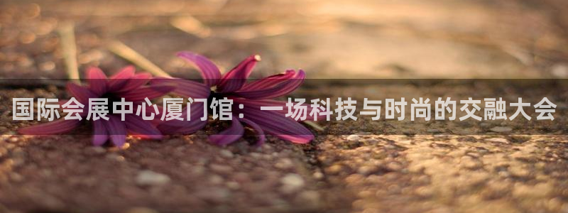 果博平台开户电话查询：国际会展中心厦门馆：一场科技与时尚的交融大会