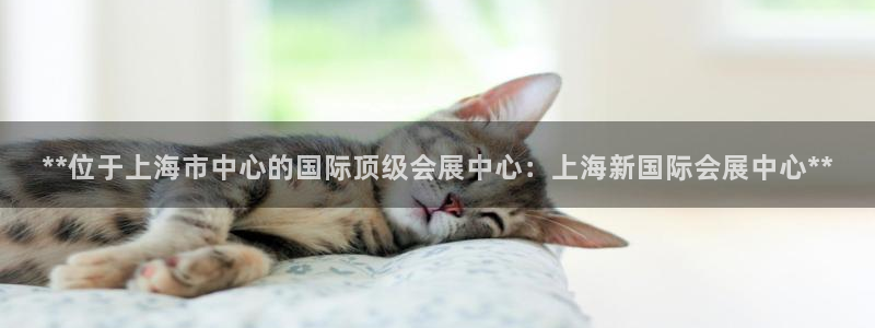 果博电话：**位于上海市中心的国际顶级会