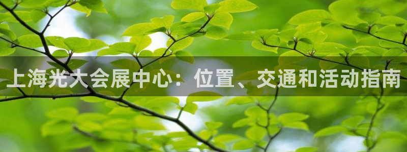 果博官方网：上海光大会展中心：位置、交通和活动指南