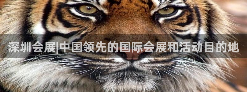 果博客服微信是多少：深圳会展|中国领先的国际会展和活动目的地
