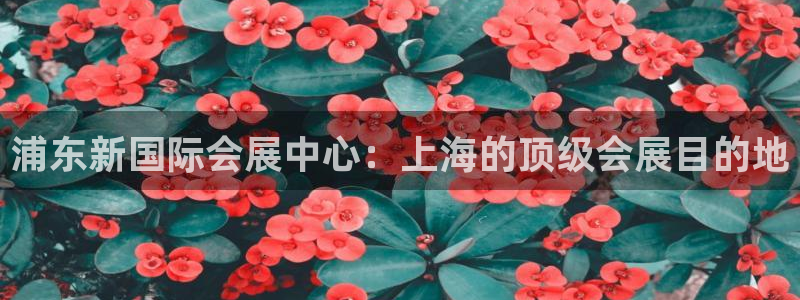 果博注册客服电话号码是多少：浦东新国际会