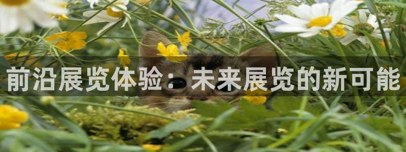 苹果手机能下载果博吗：前沿展览体验：未来