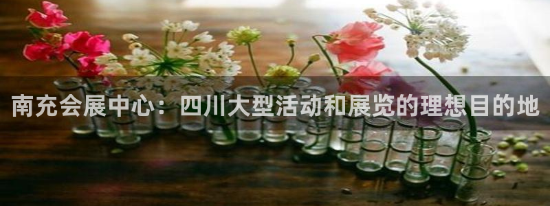 果博网站二维码：南充会展中心：四川大型活动和展览的理想目的地