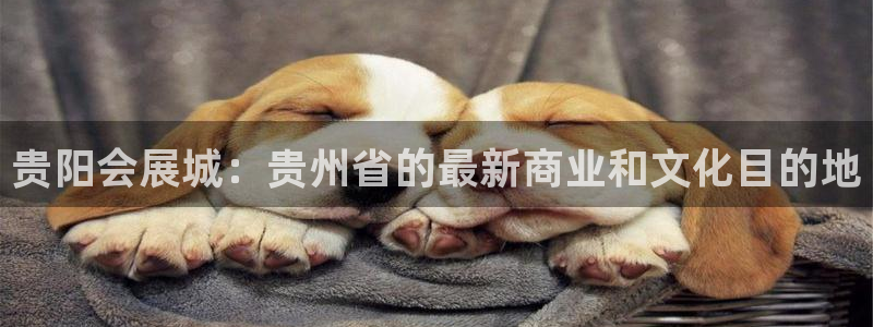 果博注册客服电话是多少啊：贵阳会展城：贵