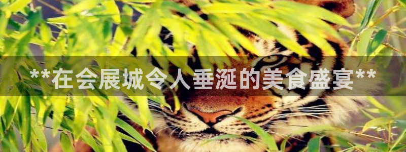 果博公司在线客服：**在会展城令人垂涎的