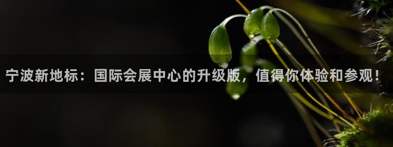 果博注册客服电话是多少号：宁波新地标：国