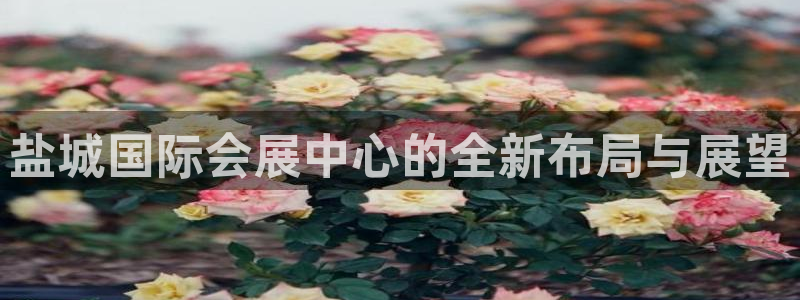 果博注册客服电话号码是多少