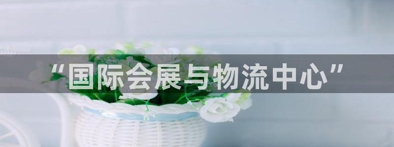 果博网站二维码：“国际会展与物流中心”