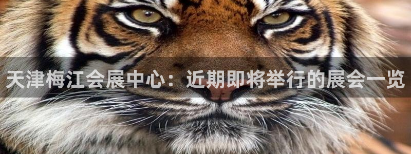 果博平台真实吗安全吗可靠吗