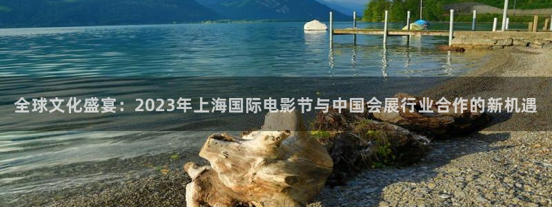 果博注册平台怎么注册不了：全球文化盛宴：2023年上海国际电影节与中国会展行业合作的新机遇