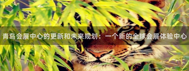 果博注册平台怎么注册账号：青岛会展中心的
