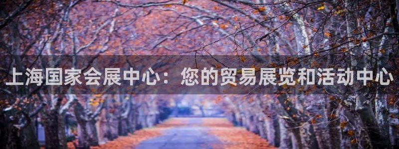果博公司会员账号开户