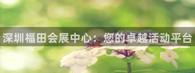果博官网在银博：深圳福田会展中心：您的卓