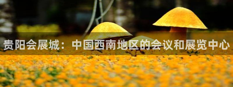 果搏代理