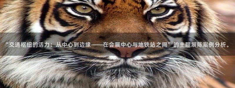 果博网站二维码：“交通枢纽的活力：从中心到边缘——在会展中心与地铁站之间”的主题展陈案例分析。