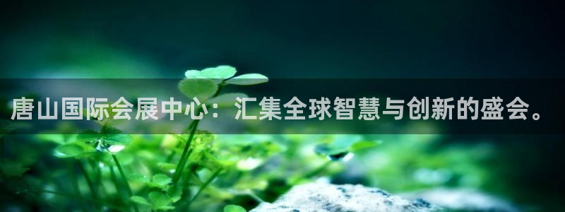 果博真人：唐山国际会展中心：汇集全球智慧