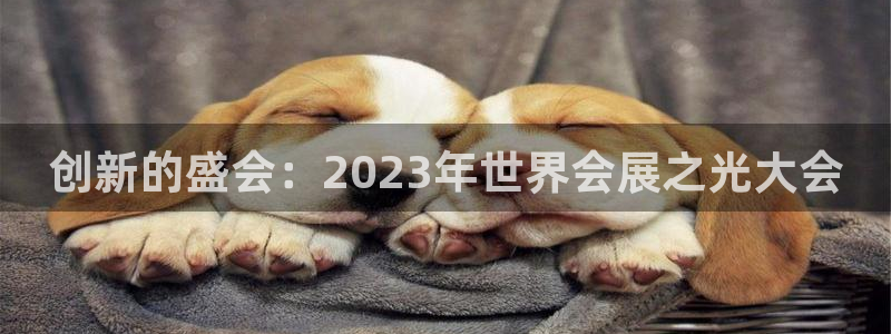 果博代理网：创新的盛会：2023年世界会展之光大会