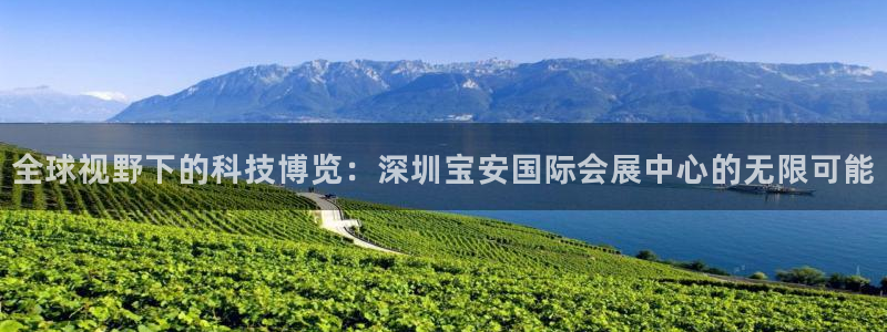 果博手机下载：全球视野下的科技博览：深圳宝安国际会展中心的无限可能