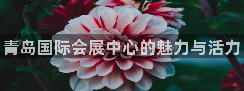 果博账号注册：青岛国际会展中心的魅力与活力