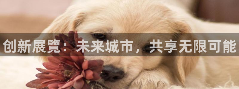 果博平台真实吗安全吗是真的吗：创新展覽：未来城市，共享无限可能