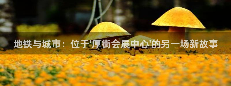 果博注册平台怎么注册不了：地铁与城市：位