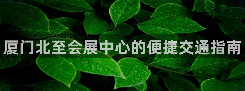 果博平台链接：厦门北至会展中心的便捷交通