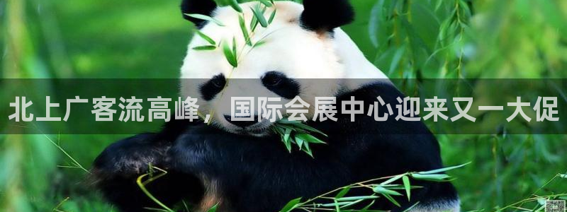 果博注册会员维wckk389：北上广客流高峰，国际会展中心迎来又一大促