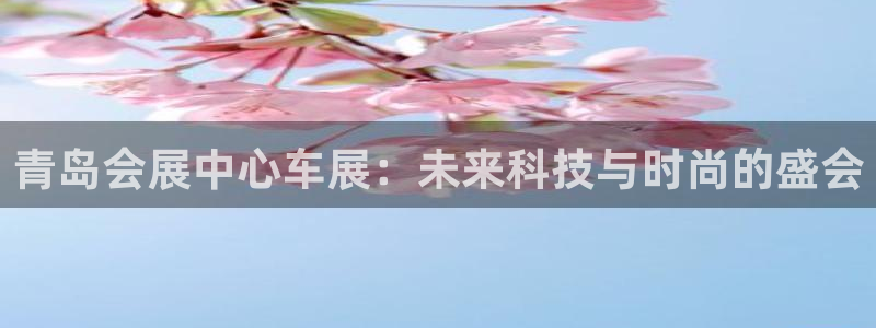 果博手机版下载：青岛会展中心车展：未来科