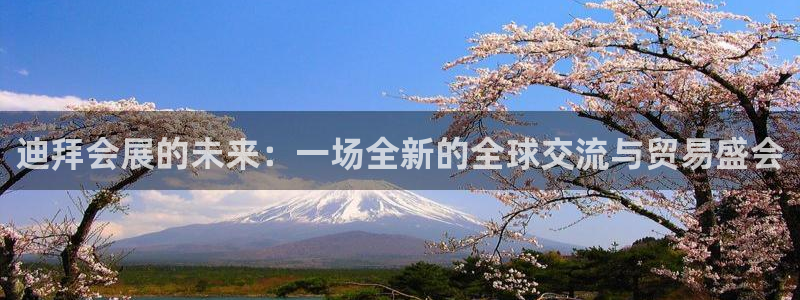 果博公司开户热线：迪拜会展的未来：一场全新的全球交流与贸易盛会