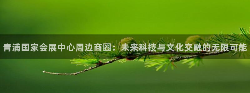 果博官网首页：青浦国家会展中心周边商圈：