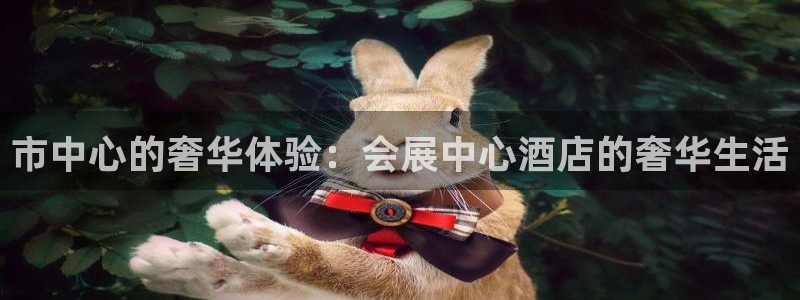 果博公司上分客服：市中心的奢华体验：会展中心酒店的奢华生活