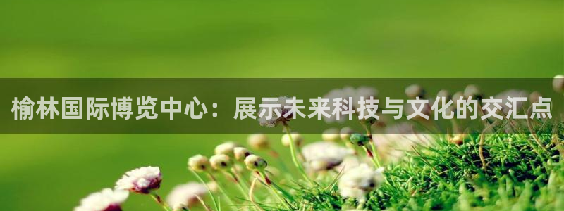 果博注册客服电话是多少号码：榆林国际博览中心：展示未来科技与文化的交汇点