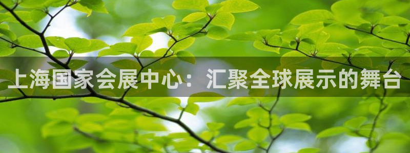 果博gbe168：上海国家会展中心：汇聚