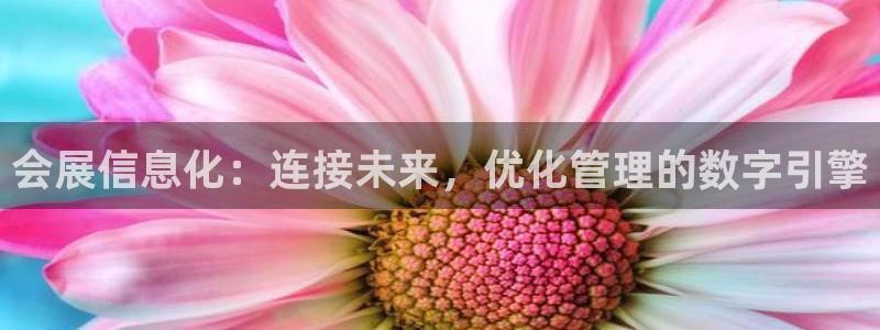 果博东官方网站怎么下载：会展信息化：连接