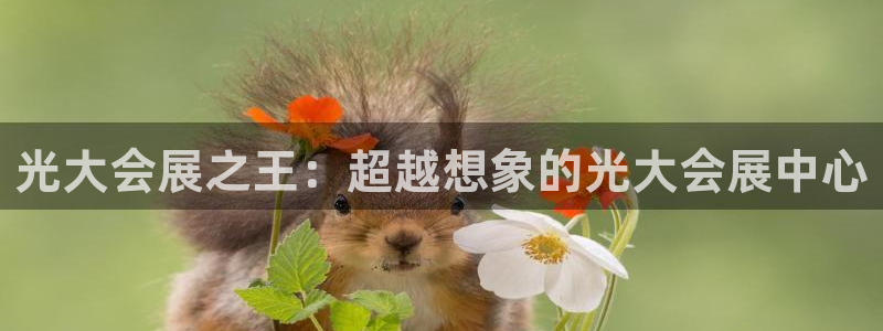 果博公司客服微信怎么加：光大会展之王：超