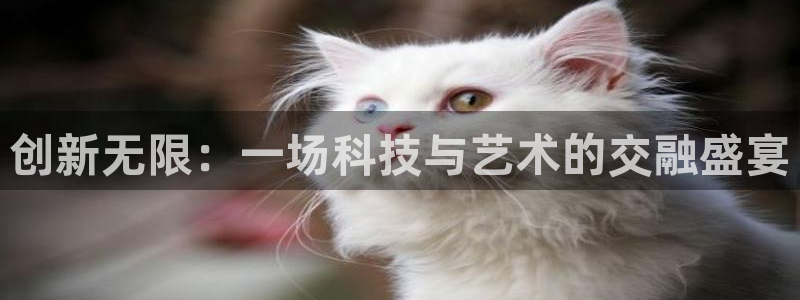 果博注册会员多少钱