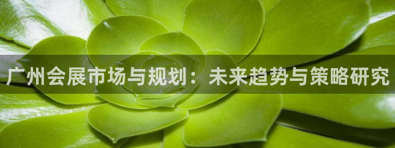 苹果手机能下载果博吗：广州会展市场与规划